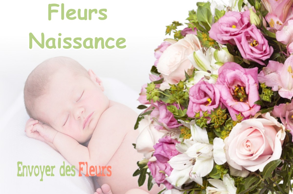 lIVRAISON FLEURS NAISSANCE à LE-TIGNET